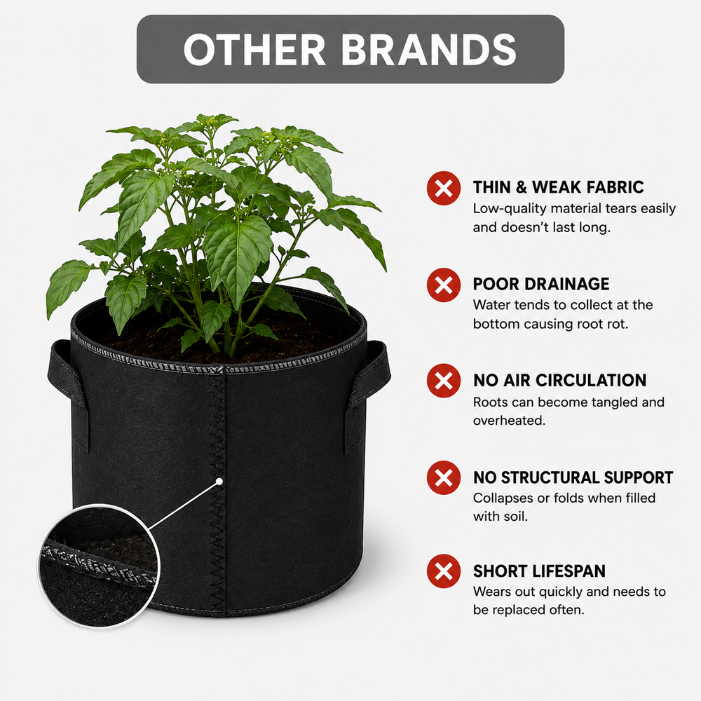 Other Brand